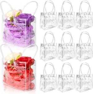 BadenBach 24 PCS Mini Clear Gift Bags with Handle,5.9" x 6.3" x 2.8",Small Transparent Plastic Gift Wrap Bags Bulk Reusable Clear Party Favor Goodie Bag for Boutique Wedding Birthday Father's Day