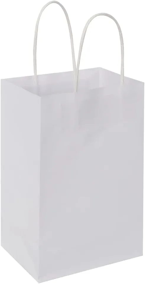 Oikss 100 Pack 5.25x3.25x8.25 Inch Small White Kraft Paper Bags with Handles Bulk for Birthday Wedding Party Favors Grocery Retail Shopping Business Goody Craft Gift Bags Cub Sacks (100pcs Count)