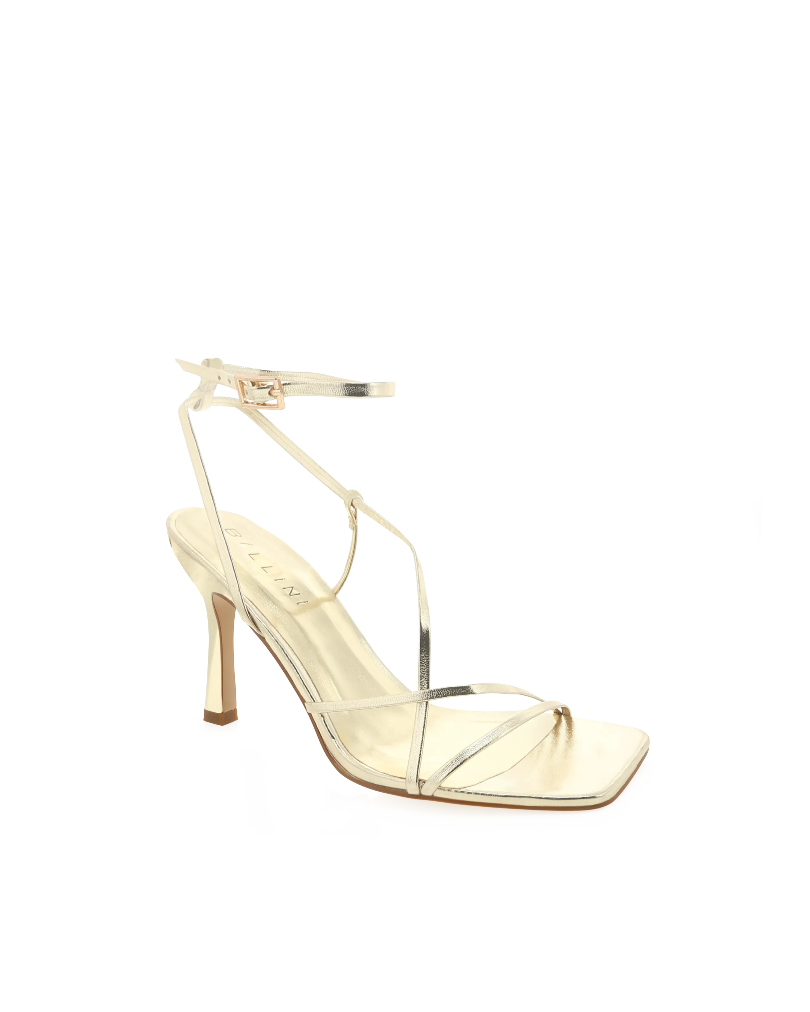 Stevie Heel
