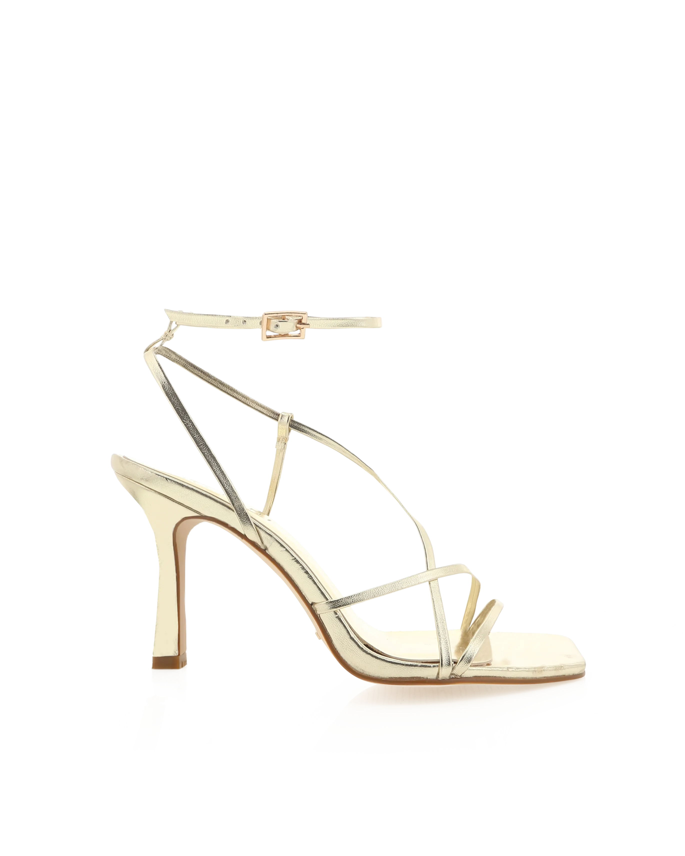Stevie Heel