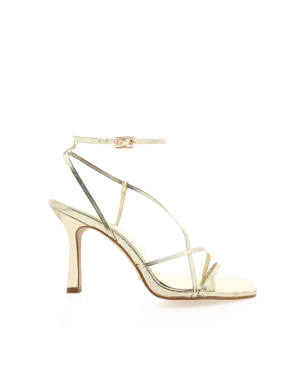 Stevie Heel