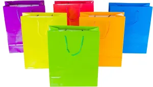 Super Z Outlet Neon Colored Blank Paper Party Gift Bags Rainbow Assortment with String Handles for Birthday Favors, Snacks, Decoration, Arts & Crafts, Event Supplies (12 Bags) (Large)